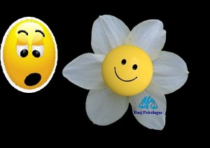 eliminar la tristeza